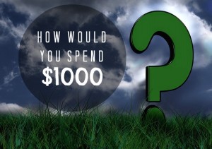 how would you spend $1000